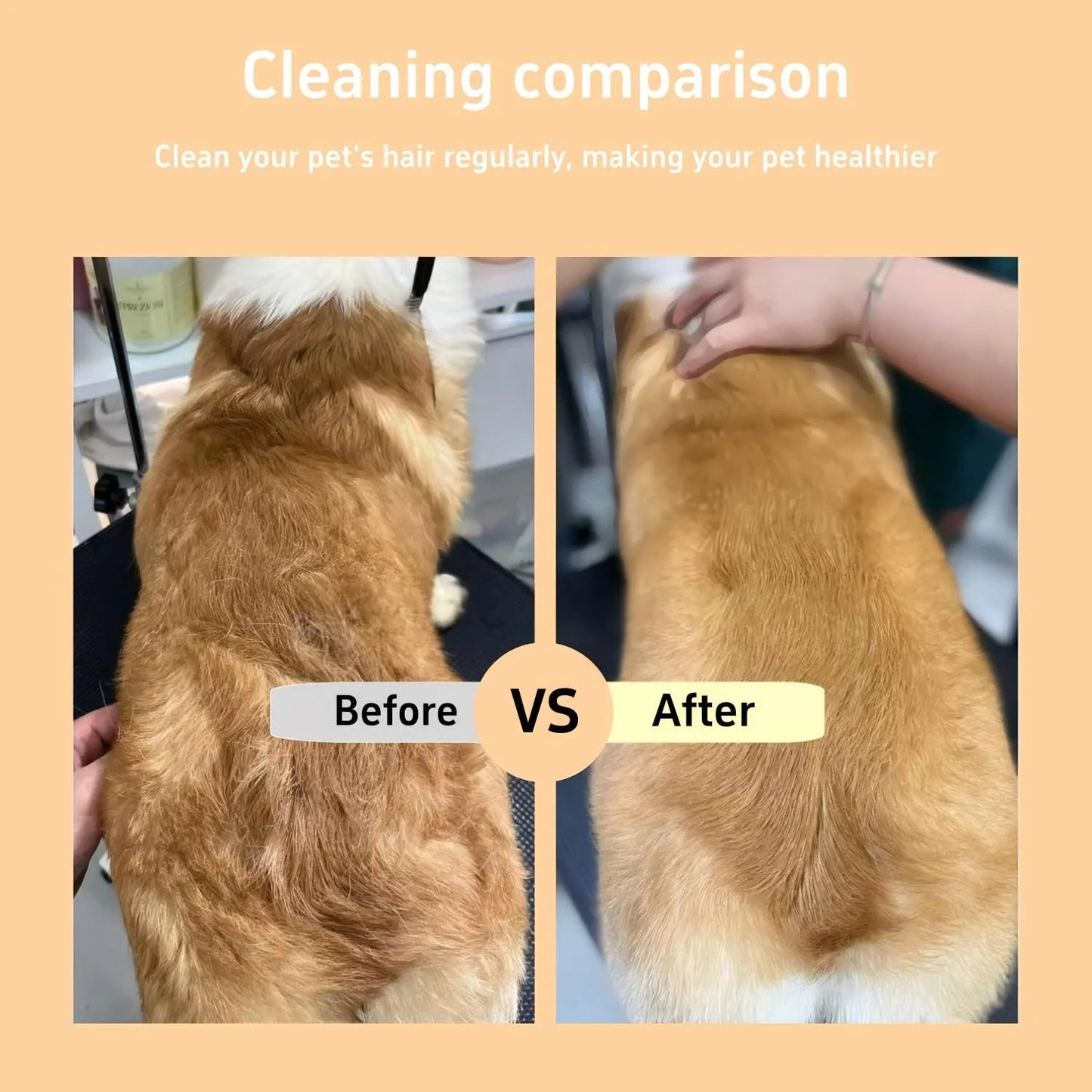 ClickClean Buddy