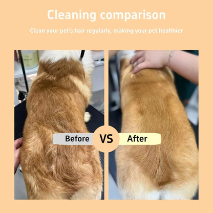 ClickClean Buddy